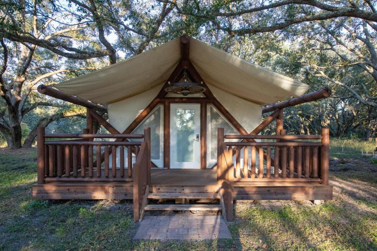 Westgate Resort&rodeo 3* River Ranch